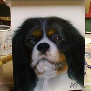 10533284 354370368079339 2135558506 N 17841568450012656 300x300